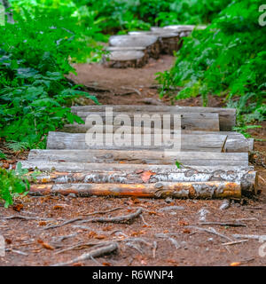 Holzstangen und stumpf Schritte auf einem Wanderweg Stockfoto