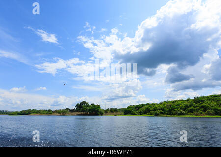 Panorama vom Amazonas-Regenwald, brasilianische Feuchtgebiet Region. Schiffbaren Lagune. Südamerika-Wahrzeichen. Amazonien Stockfoto