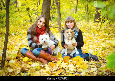 Frauen gehen in den Park mit Hunden Stockfoto