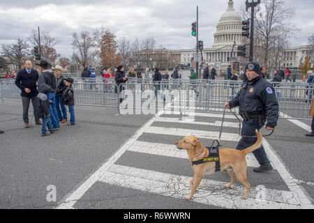 Ein polizeihund Patrouillen außerhalb der U.S. Capitol, 4. Dezember 2018. Die Überreste von Präsident George HW Bush im Staat lag am Capitol Dec 3 - 5. Stockfoto