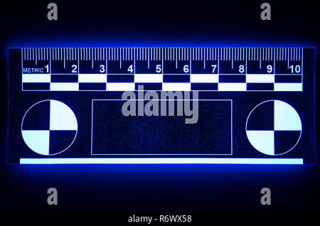Photomacrographic forensische Skala leuchtet unter UV-Licht und leuchtet, sichtbares Licht fluoresziert Zurück zum Tatort und Fingerabdruck Messung verwendet Stockfoto