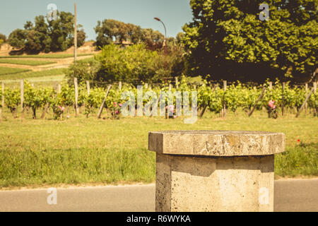 Weinberg von Saint-Emilion, Frankreich, in der Nähe von Bordeaux am Ende des Frühlings 2017 Stockfoto