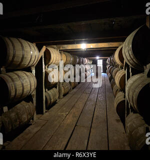 Reihen von Fässern altern Bourbon in einem Lager bei Buffalo Trace Distillery, Frankfort, Kentucky Stockfoto