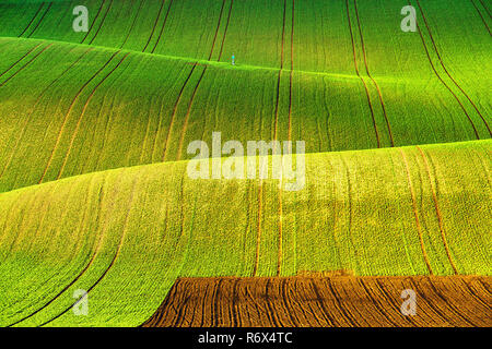 Rolling Feder Felder. Ackerflächen in der Tschechischen Mähren. Stockfoto