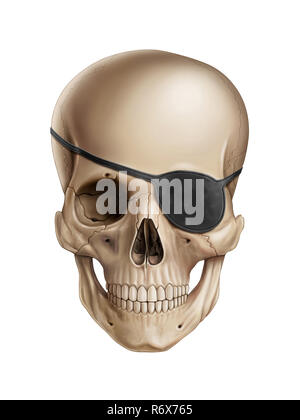 Pirate skull Illustration, digitale Malerei Stockfoto