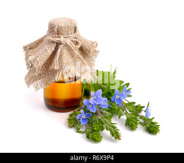 Veronica chamaedrys mit pharmazeutischen Fläschchen Stockfoto