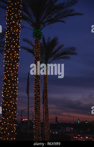 Palmen in Holiday Lights bei Sonnenuntergang Stockfoto