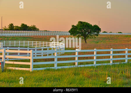 Cimarron Tal pferd Reha-zentrum, Stroud, Oklahoma, USA Stockfoto
