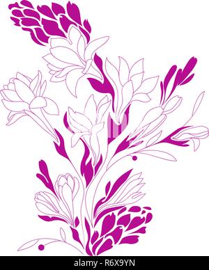 Blumen Kontur zeichnen, silhouette Blumen, Tuberose Design, Vektor, Abbildung Stock Vektor