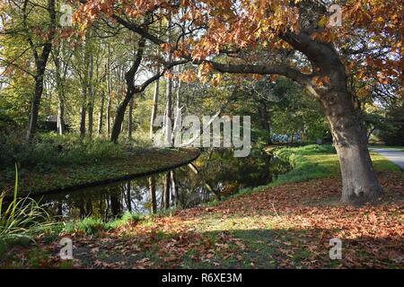 Schönen Herbst Landschaft mit Teich und Bäume. Stockfoto