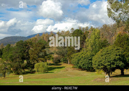 Golfplatz - Mount Beauty Stockfoto