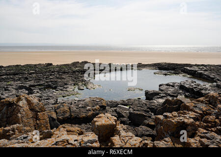 Seaside Tidal Rock Pool am Rest Bay Beach Porthcawl, Wales UK, Walisische Küste Britische Küste Biodiversität Ebbe Landschaft Stockfoto