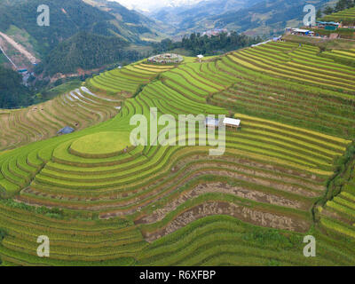 Luftaufnahme von Vietnam Landschaften. Reisfelder auf Terrassierten von Mu Cang Chai, YenBai. Royalty hochwertige kostenlos bild bild Terrasse Reisfelder Stockfoto