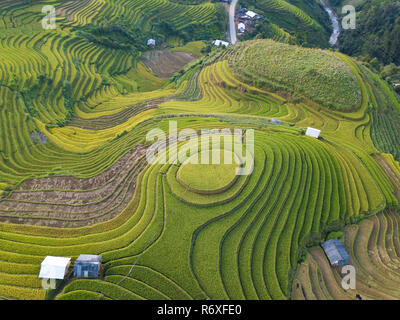 Luftaufnahme von Vietnam Landschaften. Reisfelder auf Terrassierten von Mu Cang Chai, YenBai. Royalty hochwertige kostenlos bild bild Terrasse Reisfelder Stockfoto