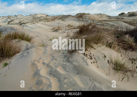 Sanddünen Fußweg: Windblown Sand füllt die Spuren der Wanderer auf einem Pfad durch die Dünen am Cape Hatteras National Seashore. Stockfoto