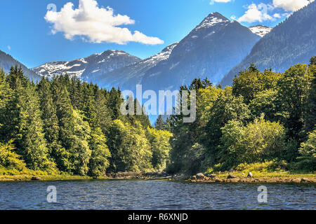 Auf einer sonnigen, bewaldete Ufer in British Columbia, einer Flussmündung Hinweise auf das Tal hinter, tief in die schneebedeckten Coast Mountains (im Sommer). Stockfoto