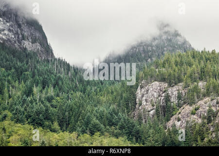 Steilen Granit bluffs Aufstieg über einen Wald im Vordergrund, mit hohen, schroffe Gipfel darüber hinaus, ihre Spitzen in Wolke verdeckt (British Columbia Regenwald). Stockfoto