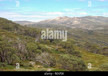 Blick von der Charlotte Pass - Thredbo Stockfoto