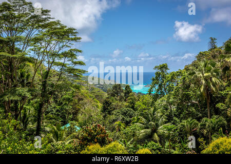 Hohe aussicht auf das Meer in Mahe mit der grünen tropischen Wald im Vordergrund in einem sonnigen blauen Himmel Tag Stockfoto