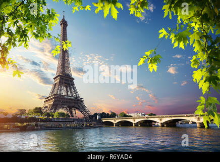 Eiffel Turm und Brücke Stockfoto