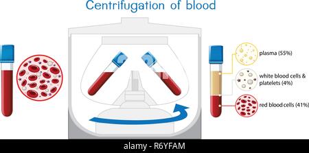 Zentrifugation von Blut Diagramm Abbildung Stock Vektor