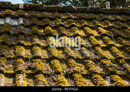 Moosbewachsenen Dach einer Hütte im Garten Stockfoto