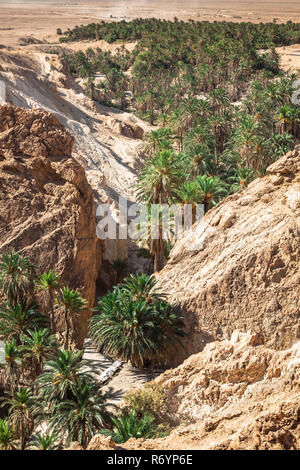 Chebika Berg Oase am Rand der Sahara, Tunesien, Afrika Stockfoto