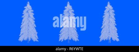 3D-Rendering von drei Bäumen als Linien auf blauem Hintergrund Stockfoto
