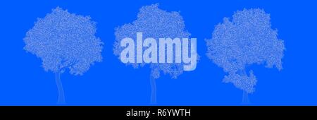 3D-Rendering von drei Bäumen als Linien auf blauem Hintergrund Stockfoto