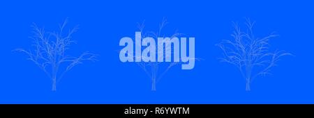 3D-Rendering von drei Bäumen als Linien auf blauem Hintergrund Stockfoto