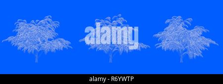 3D-Rendering von drei Bäumen als Linien auf blauem Hintergrund Stockfoto