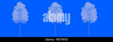 3D-Rendering von drei Bäumen als Linien auf blauem Hintergrund Stockfoto