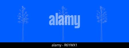 3D-Rendering von drei Bäumen als Linien auf blauem Hintergrund Stockfoto