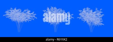 3D-Rendering von drei Bäumen als Linien auf blauem Hintergrund Stockfoto