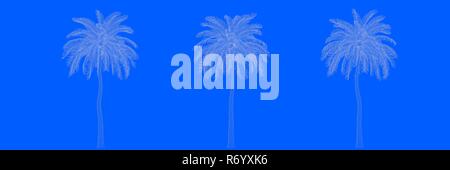 3D-Rendering von drei Bäumen als Linien auf blauem Hintergrund Stockfoto