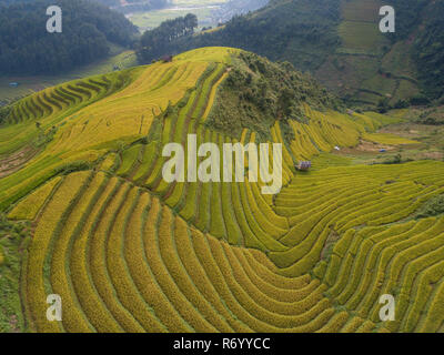 Luftaufnahme von Vietnam Landschaften. Reisfelder auf Terrassierten von Mu Cang Chai, YenBai. Royalty hochwertige kostenlos bild bild Terrasse Reisfelder Stockfoto