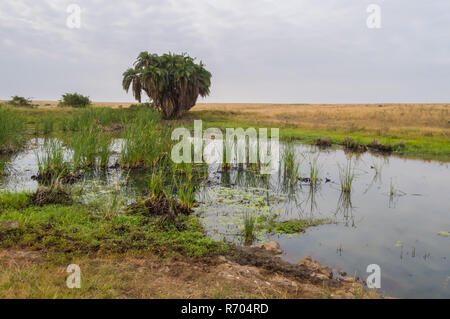 Sicht auf den Savannah und einem kleinen Körper von Wasser in den Nairobi Nationalpark Stockfoto