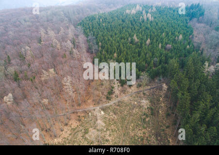 Antenne drone Flug mit Helikopter über abgeholzte Wald in Österreich im März Stockfoto