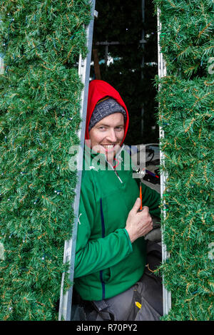 Elektriker errichten und Beleuchtung ein Metall Weihnachtsbaum in Tipperary, County Kerry, Irland Stockfoto