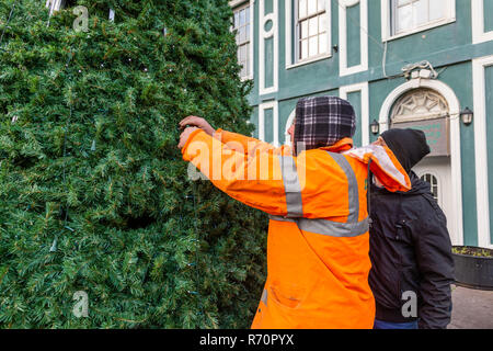 Elektriker errichten und Beleuchtung ein Metall Weihnachtsbaum in Tipperary, County Kerry, Irland Stockfoto
