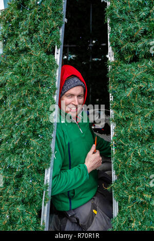 Elektriker errichten und Beleuchtung ein Metall Weihnachtsbaum in Tipperary, County Kerry, Irland Stockfoto