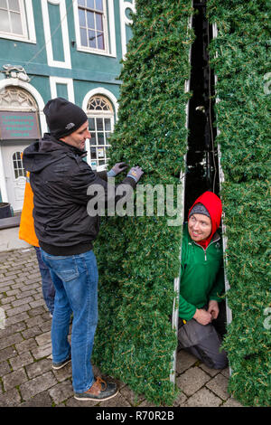 Elektriker errichten und Beleuchtung ein Metall Weihnachtsbaum in Tipperary, County Kerry, Irland Stockfoto