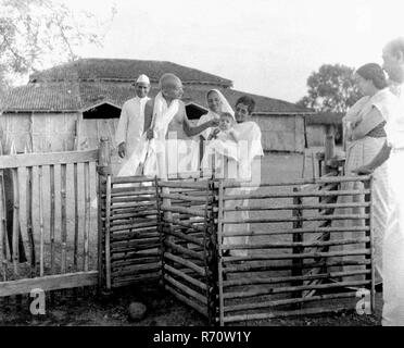 Mahatma Gandhi zieht das Ohr des Babys im Sevagram Ashram, Wardha, Maharashtra, Indien, 1941, Altes Vintage 1900er Bild Stockfoto