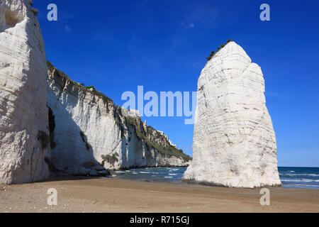 Pizzomunno, Kalkstein Felsen und Klippen am Strand, Vieste, Gargano, Apulien, Italien Stockfoto