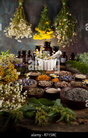 Kräuter, Beeren und Blumen mit Mörtel, Holz Tisch Hintergrund Stockfoto