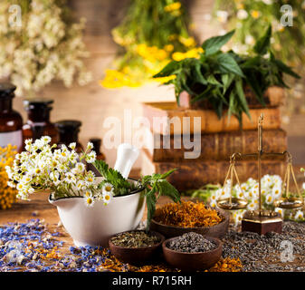 Kräuter, Beeren und Blumen mit Mörtel, Holz Tisch Hintergrund Stockfoto