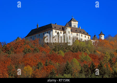 Greifenstein in der Fränkischen Schweiz, Heiligenstadt, Oberfranken, Bayern, GermanyGreifenstein Schloss Stockfoto