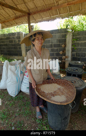 Eine ältere Thai Frau Reinigung Reiskörner, Provinz Loei, Thailand Stockfoto