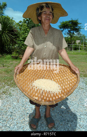 Eine ältere Thai Frau Reinigung Reiskörner, Provinz Loei, Thailand Stockfoto