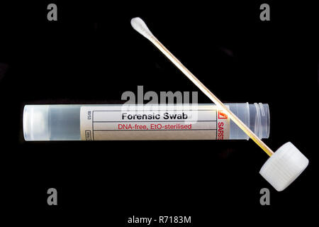 Forensische Wattestäbchen für die Sicherung von DNA, steril, DNA-Spurenanalyse Stockfoto